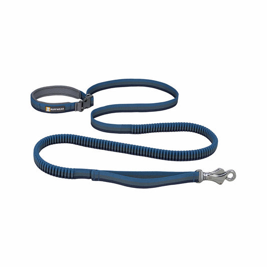 Color swatch for Roamer Bungee Dog Leash in River Rock Green