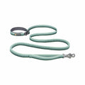 Roamer Bungee Dog Leash River Rock Green