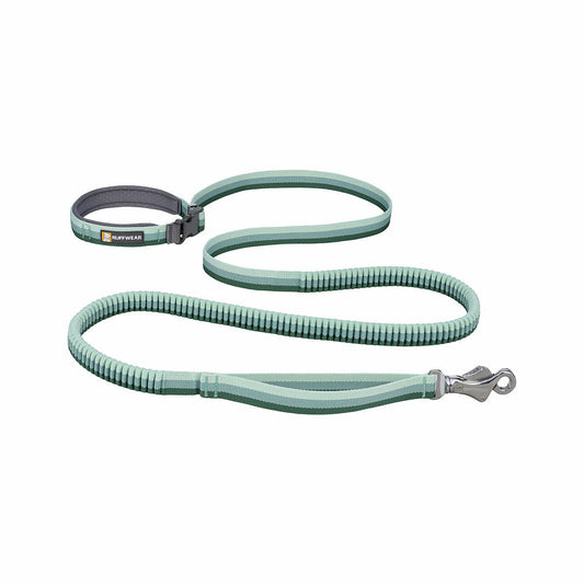 Roamer Bungee Dog Leash River Rock Green