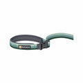 Roamer Bungee Dog Leash River Rock Green