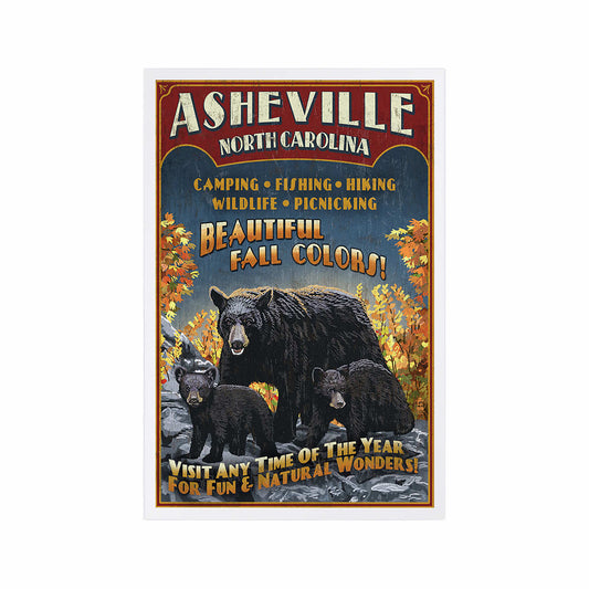 Asheville Black Bear Vintage Sign Postcard