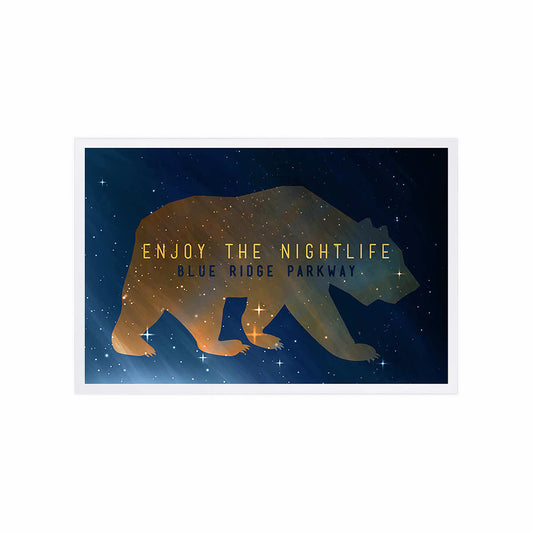 Lantern Press Blue Ridge Parkway Enjoy the Nightlife Postcard