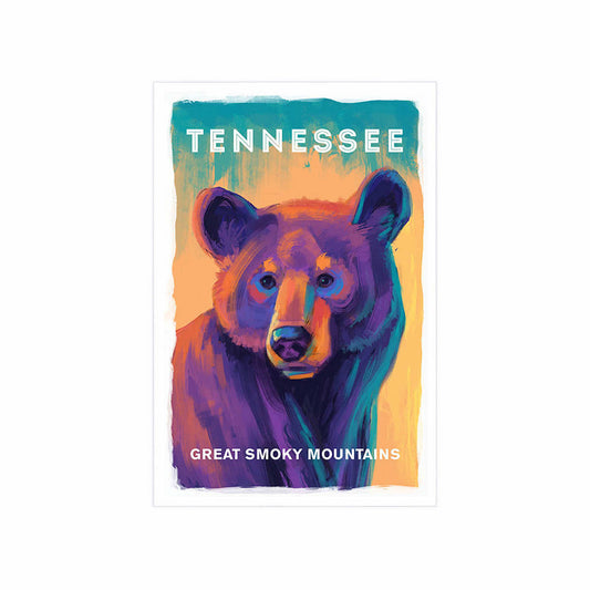 Lantern Press Great Smoky Mountains Tennessee Vivid Black Bear Postcard