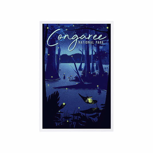 Lantern Press Congaree National Park Fireflies Postcard