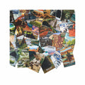 Lantern Press Protect Our National Parks Postcard Box Set