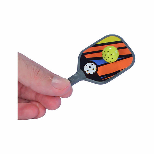 World's Smallest Pickleball Set