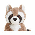 Warmies Raccoon Plush Toy