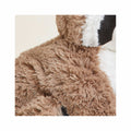 Warmies Raccoon Plush Toy