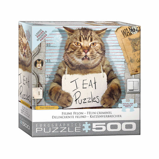 Eurographics Feline Felon Puzzle
