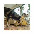 Matador Basecamp Dome Tiny Tent Yellow