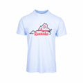 Mast General Store Roanoke State Star Short Sleeve T-Shirt Hydrangea