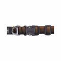 Front Range Dog Collar Moonlight Fade
