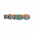 Front Range Dog Collar Spring Fade