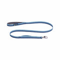 Front Range Dog Leash Coastal Fade