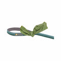 Front Range Dog Leash River Rock Green