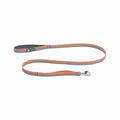 Front Range Dog Leash Spring Fade