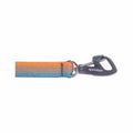 Front Range Dog Leash Spring Fade