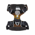 Front Range Harness  Moonlight Mtns