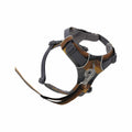 Front Range Harness  Moonlight Mtns