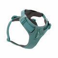 Front Range Harness  River Rock Green