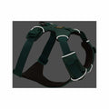 Front Range Harness  River Rock Green