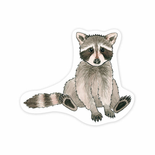Raccoon Sticker