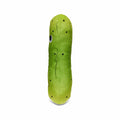 Kidrobot Yummy World Pickle Plush Toy Green