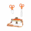 3 Piece Bug Collection Set Toy