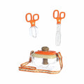 3 Piece Bug Collection Set Toy