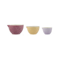Mason Cash In The Meadow Measuring Cups