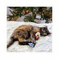 Nutcracker Cat Toy Set