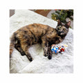 Nutcracker Cat Toy Set