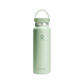 Hydro Flask Insulated Wide Mouth Color Matching Bottle - 40 Ounce Aloe