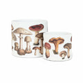 Abbott Small Botanical Mushroom Planter