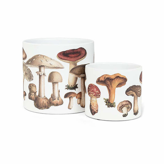 Abbott Small Botanical Mushroom Planter