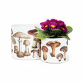 Abbott Small Botanical Mushroom Planter