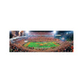 Master Pieces Puzzle Clemson University 1000 Piece Panoramic Puzzle