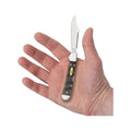 Smooth Black Curly Oak Wood Mini CopperLock Knife