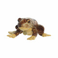 Aurora World Miyoni American Bullfrog Plush Toy