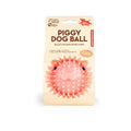 Kikkerland Piggy Dog Ball Toy
