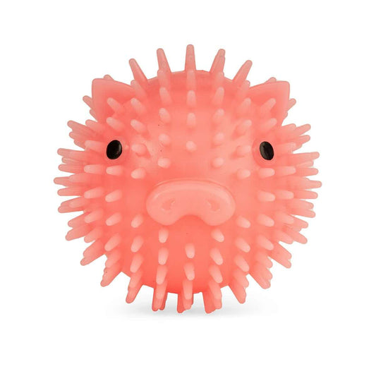 Kikkerland Piggy Dog Ball Toy