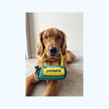 Golf Club Squeaky Dog Toy