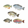 Aurora World Big Fish Game