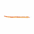 Aurora World Corn Snake Plush Toy - 50 Inch Orange And Red