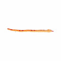 Aurora World Corn Snake Plush Toy - 50 Inch  Orange And Red