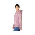 Carhartt Women's Iconic Clarksburg Logo Hoodie  Ashberry V