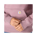 Carhartt Women's Iconic Clarksburg Logo Hoodie  Ashberry V