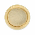 Harold Import Silicone Collapsible Round Proofing Basket