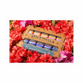 10-Pack Made With Love In Asheville Collection and Cookbook