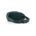 Patagonia Fieldsmith Hip Pack 5L  Casg Cascade Green